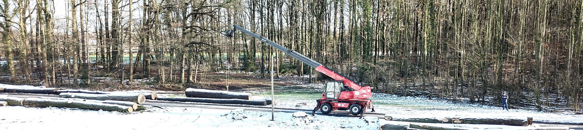 Kran im verschneiten Wald